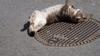 Rekonstrukce kanalizace pokračuje
