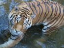 Plzeňská zoo hlásí mnoho novinek