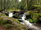 Národní park Šumava